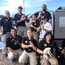 Field Services And Public Safety - Hass