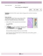 Some of the worksheets for this concept are gizmo golf range answer key, photosynthesis gizmo answer key explore learning, student exploration plate tectonics, Gizmo 4 Building Dna Revised Doc Name Suha Neshat Date Student Exploration Building Dna Inq 16 Com Vocabulary Double Helix Dna Enzyme Mutation Course Hero