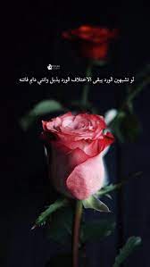 pin by جوانا جوانا on كلمات وعبارات جميله arabic quotes photo quotes arabic words
