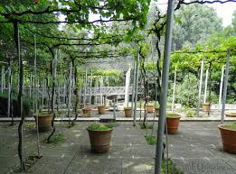 Another View Looking Through Jardin De La Treille Within Parc De La Villette Daily Updates At Www Eutouring Com Garden Trellis Vine Trellis Different Plants