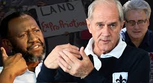 Internal party pressure could break the GNU, says Roelf Meyer