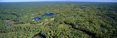 Minister of natural resources and environment. Ontario Ministry Of Northern Development Mines Natural Resources And Forestry Linkedin