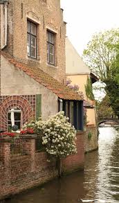 French Larkspur Belgique Bruges Bruxelles Belgique