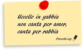 Perche Si Dice Uccello In Gabbia Non Canta Per Amor Canta Per Rabbia Scopri Il Significato Di Questo Proverbio Nel 2020 Proverbi Citazioni Sagge Canto