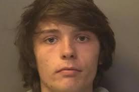 The 19-year-old gangster who fled police in stolen Range Rover, crashed it  through a brick wall and told cops: "I do admit I am stoned"