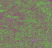 Spouses Irradia Erkrieal & Ziria | Flickr