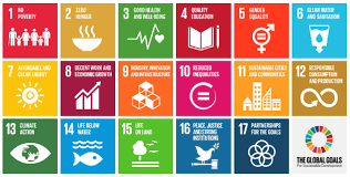 Protect, restore and promote sustainable use of terrestrial ecosystems, sustainably manage forests, combat desertification, and halt and reverse land degradation and halt biodiversity loss. United Nations Sustainable Development Goals Sdg S Position Paper Iffo The Marine Ingredients Organisation