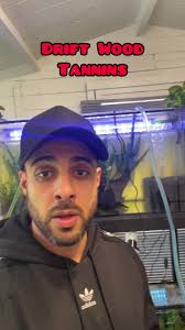 Fisch Catch Driftwood