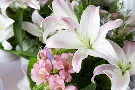 Take this quiz and find out! Popular Types Of Flowers Top 12 Women S Favorite Flowers Minivan Momma
