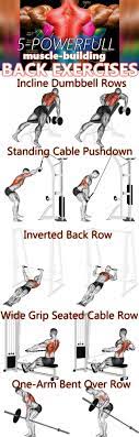 Check spelling or type a new query. What Are The Most Beneficial Back Exercises Here S 8 Strengthening Movements Gymguider Com Back Day Workout Back Exercises Back Workout