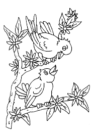 Coloriage Oiseaux Sur Des Branches