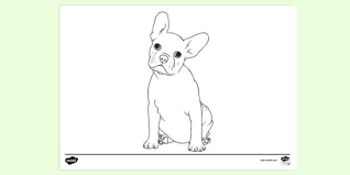 Jpg and png files high resolution images high quality 300 dpi images design will fit well 8x8 paper. Free French Bulldog Colouring Page Colouring Sheet