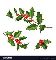 Christmas Holly Mistletoe Ilex Leaves Vector Image On Vectorstock In 2020 Christmas Card Art Christmas Doodles Christmas Vectors