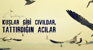 Kuslar Gibi Civildar Tattirdigin Acilar Cemal Sureya Guzel Soz Siir Alintilar