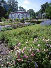 Botanicki Vrt Frankfurt With Images Places To Go Plants Places