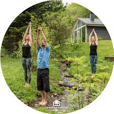 Yoga Im Grunen Ferienhaus Lichtung Ferienhaus Yoga Ferien