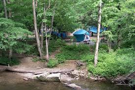 Each individual campsite has a fire grate and picnic table. Camping Picnicking At Deep Creek Smokies National Park Bryson City