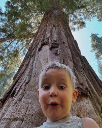 Andy Harms (@harmsoffair) • Instagram photos and videos