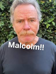 The Truth Behind the Malcolm Reboot