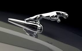 We did not find results for: Jaguar Car Wallpapers Wallpaper Cave