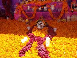 It is believed that the spirits of our departed loved ones come to visit during the celebration and marigolds are used to help guide the spirits with their vibrant color. Day Of The Dead Marigolds