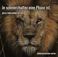 Lowenarmy On Instagram Kommentiere Mit Wenn Du Das Auch So Siehst Der Loewe Offi Weisheiten Spruche Lebensweisheiten Spruche Spruche Zitate Leben