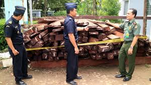 Jika anda ingin mendapatkan kayu ini cobalah hubungi distributor kayu secara langsung. Kayu Ulin Dijual Di Sulsel Karena Harganya Lebih Tinggi Tribunnews Com Mobile