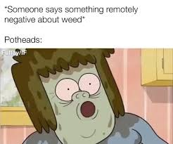 Smoke Weed And Smell Bad Meme By Disappointed Father Memedroid