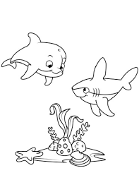Cute Dolphin And Shark Coloring Pages Dolphin Coloring Pages Shark Coloring Pages Cute Coloring Pages