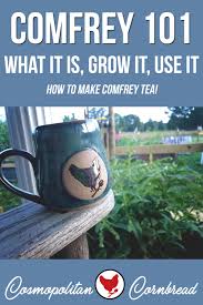 It's also useful as a food for poultry and livestock ranging from pigs to race horses. Comfrey 101 Everything You Need To Know About Comfrey And How To Make Comfrey Tea Cosmopolitan Cornbread