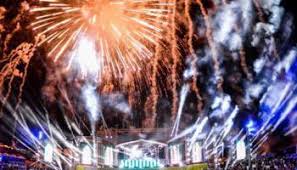 Image result for Party Fest 2016