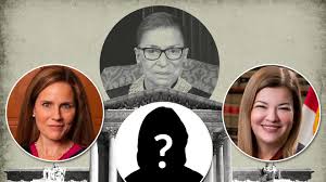 Here is the questionnaire for the race for the other associate justice seat, between democrat mark davis, the incumbent, and republican tamara barringer. 5 Things To Know About Trump S Possible Supreme Court Picks Including How Barbara Lagoa Could Help Trump Win Florida Marketwatch