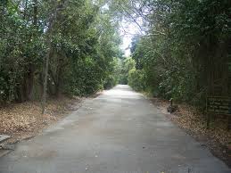 See pictures and our review of dagny johnson key largo hammock botanical state park. Dagny Johnson Key Largo Hammock Botanical State Park A Florida State Park Located Near Homestead Key Largo And Miami