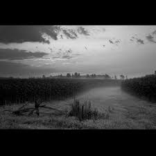 objectstodesire #sale #wintersale #canadianart #grimsbyontario  #niagararegion