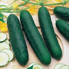 Image result for Cucumis humifructus