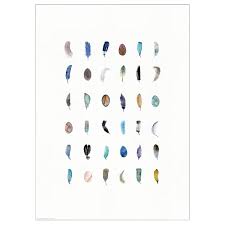 On sundays, its sister paper bild am sonntag. Bild Poster Colourful Feathers 50x70 Cm Ikea