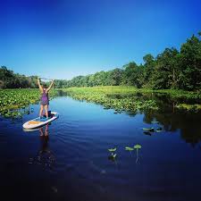 Buy stand up paddleboard and get the best deals at the lowest prices on ebay! 23 Easy Ways To Go Stand Up Paddle Boarding Near Orlando