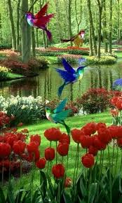 Nature Birds And Flowers Wallpaper Pin By Sonia Moreira On Birds Beautiful Flowers Beautiful Nature Wallpaper Beautiful Places Nature