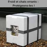 Construire un abri pour chats – astuces nourriture – Chats ...