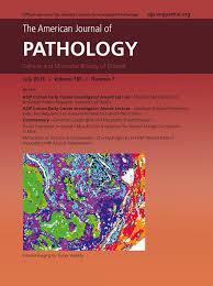 Range of citations in the safetylit database: Am J Pathology Retraction Watch