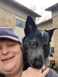 Let's welcome our new members! Please Post pictures/videos, share stories,  and ask for advice from other Blue Heeler owners. Pea DeLoach, Barbara  Bodlund Dean, Joseph Fraissinet, Kristen Rucker Looney, Nicole Terry, B