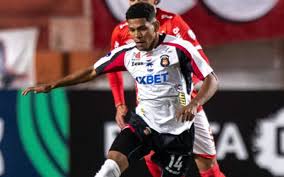 lavinotinto.com - News update