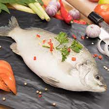Jade perch is a freshwater fish from central qld and the lake eyre basin. Jade Perch ç¿¡ç¿ é²ˆ