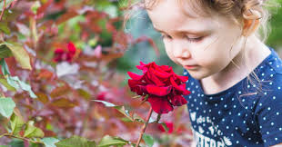 Integración Sensorial y Autismo