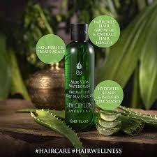 Be gentle, and use the tips of your fingers to massage oil on the roots and scalp, says dr gupta. Ayurveda Aloe Vera Water Grass Scalp Massage Oil To Help Hair Growth