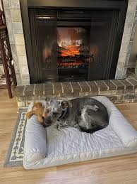 Sold and shipped by electric fireplaces direct. The 1 Dimplex Fireplace Dealer 110 Low Price Free Ship