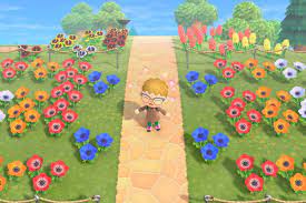 Thanks to original research by the animal crossing community available here, it's been worked out that you can increase the chances of breeding flowers by having multiple friends over to water your flowers. Animal Crossing New Horizons Switch Flowers And Hybrids Guide Polygon