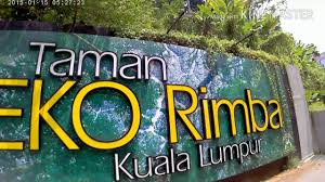 Pusat eko matang mangrove forest reserve, kuala sepetang. Official Trailer Taman Eko Rimba Kuala Lumpur Hutan Simpan Bukit Nenas Youtube