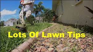 Third on the list is the lawn care nut, perhaps one of the most influential youtuber's in the lawn care niche. Multiple Lawn Care Tips Updates Enjoy The Mow Lawn Care Nut Youtube