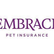 We did not find results for: 7 Best Pet Insurance Companies 2020 The Strategist